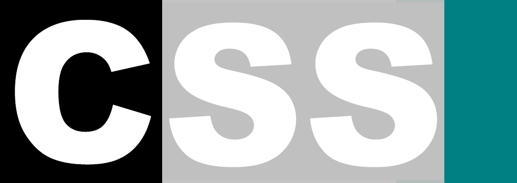 CSS Decisions Sdn. Bhd.